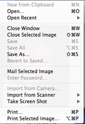 Screen shot 2012-01-12 at 4.24.08 PM.png