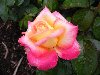 DSCN0368.jpg