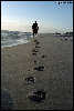 1814047537_0ee91f76d9.jpg