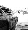 winter.jpg